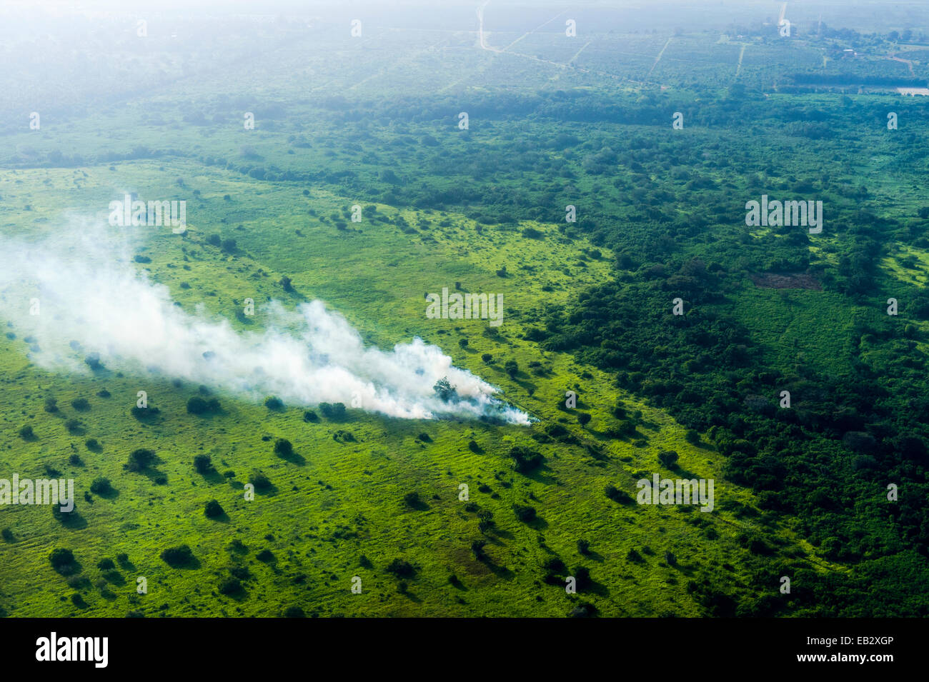 S'échapper la fumée monte à partir de cultures sur terres agricoles agriculture combustion près d'une frontière de la déforestation. Banque D'Images