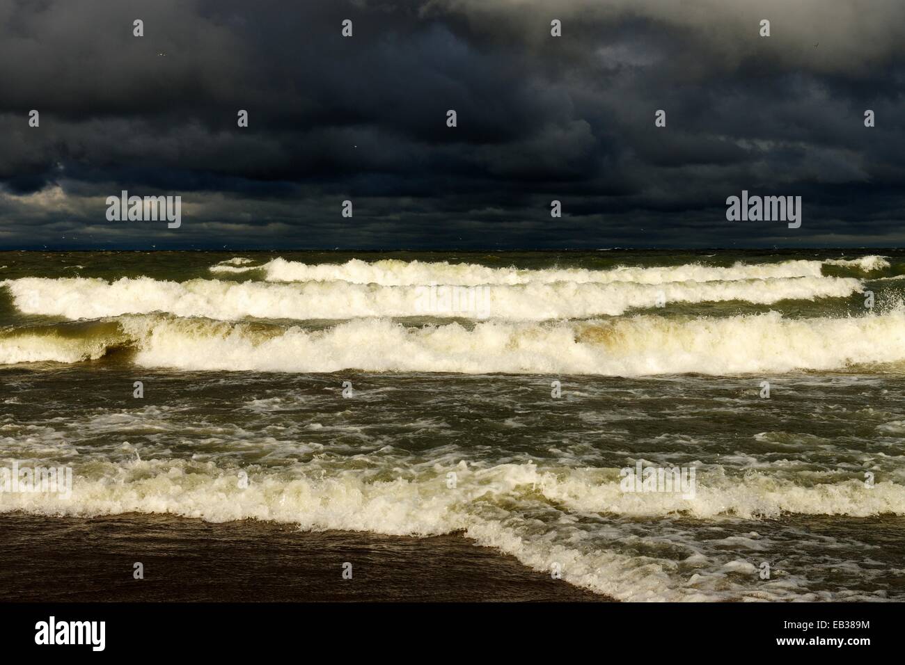 Les nuages de pluie au cours de la sombre tempête-jeté le lac Érié, le parc national de la Pointe-Pelée, le lac Érié, en Ontario, province, Canada Banque D'Images