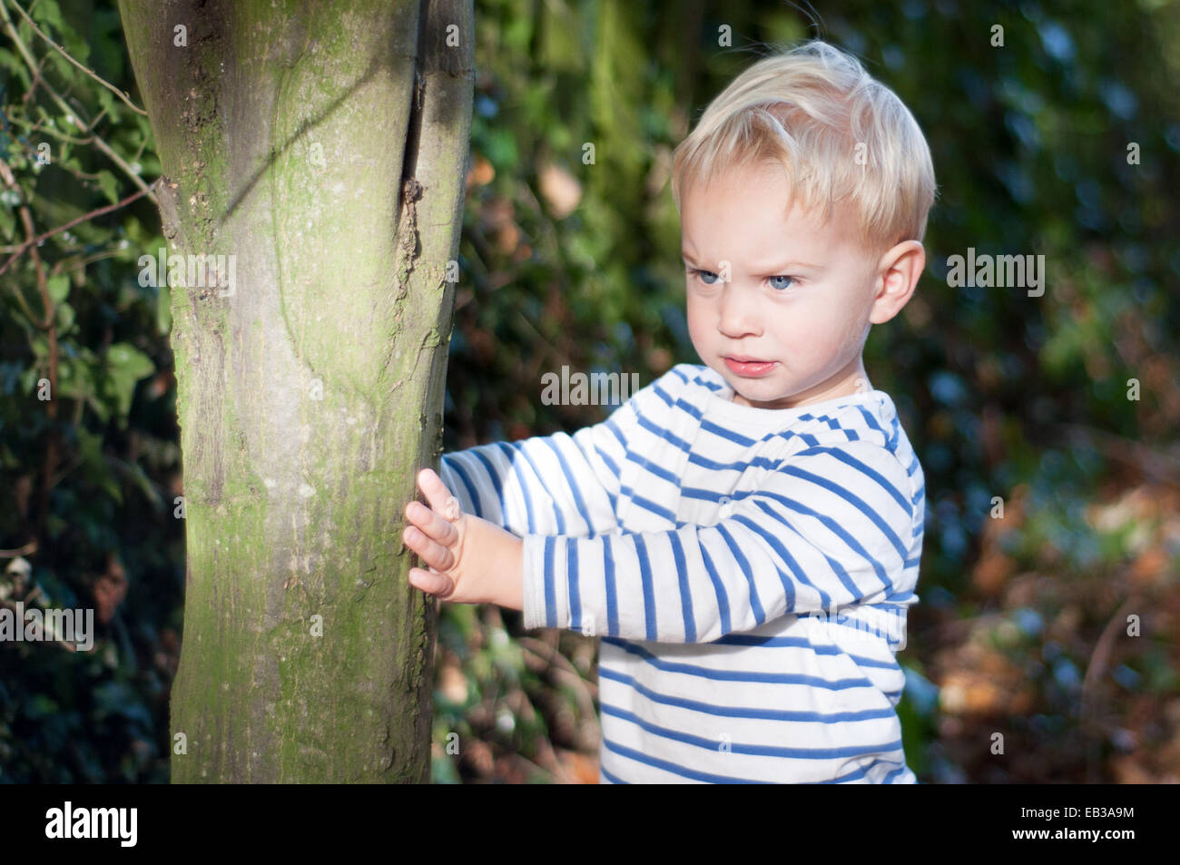 Portrait of boy standing by tree Banque D'Images