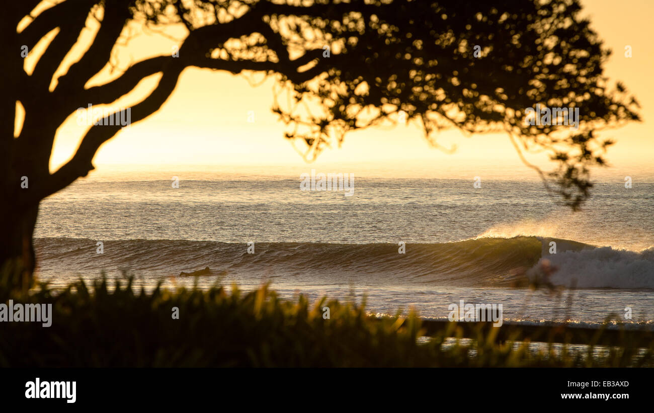 USA, Californie, Los Angeles, Malibu, voir l'arbre de et marins au coucher du soleil Banque D'Images