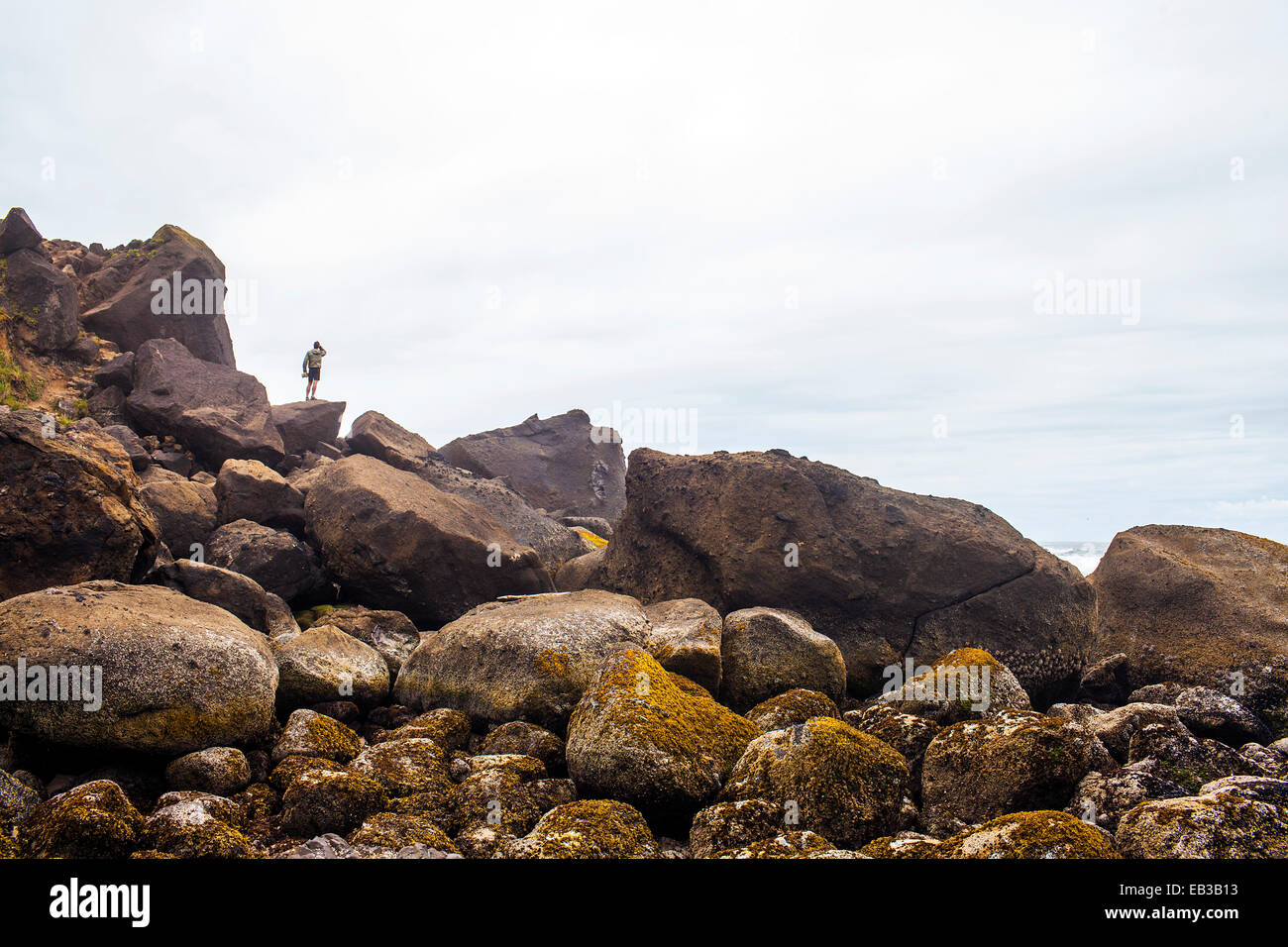 Personne debout sur les roches moussues on beach Banque D'Images