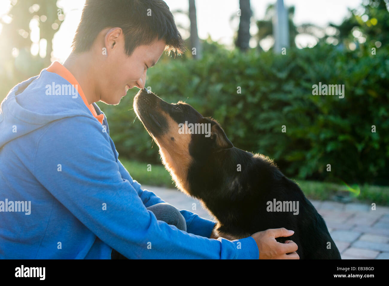 L'homme coréen rubbing noses avec chien Banque D'Images