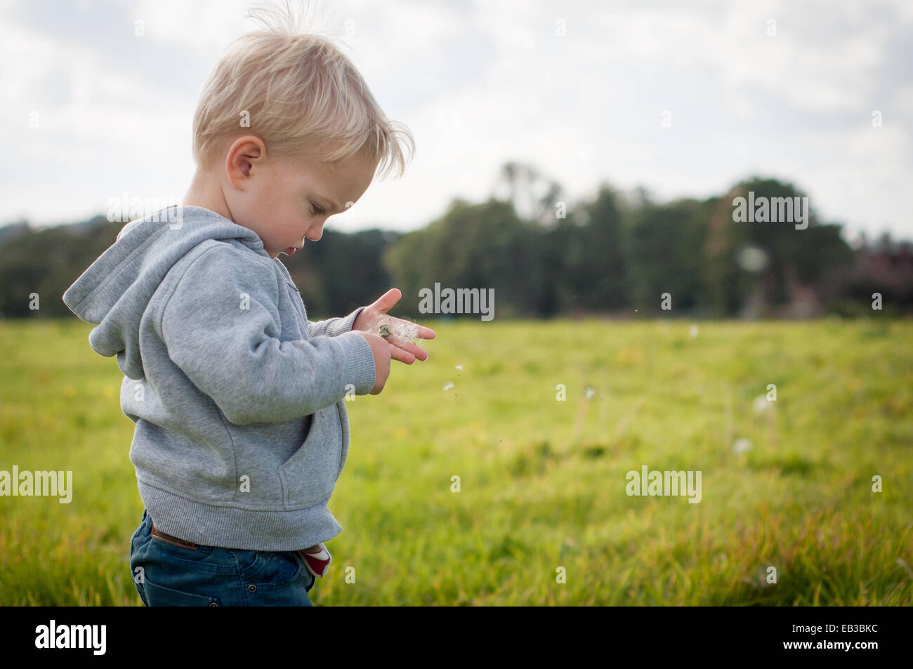 Boy standing in a field Banque D'Images