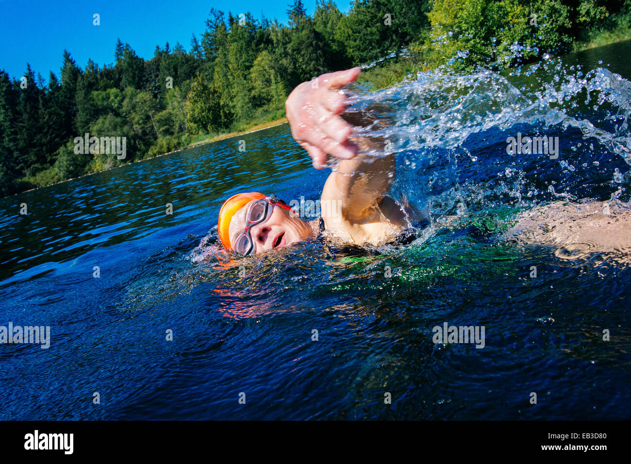 Woman swimming in lake Banque D'Images