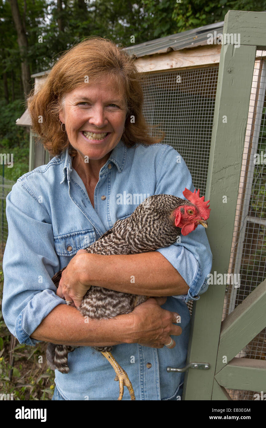 Older Caucasian woman holding chicken près de coop Banque D'Images