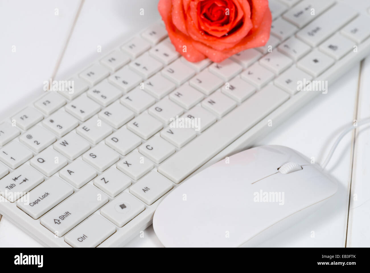 Close-up of White clavier et souris sur fond de métal Banque D'Images