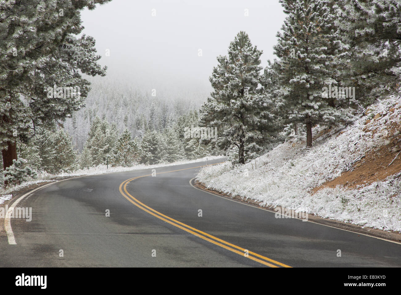 Début septembre le long de la neige Trail Ridge Road dans le Parc National des Montagnes Rocheuses au Colorado Banque D'Images