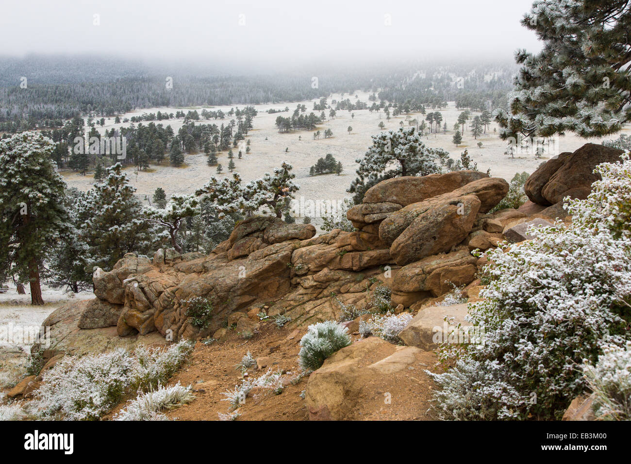 Début septembre le long de la neige Trail Ridge Road dans le Parc National des Montagnes Rocheuses au Colorado Banque D'Images
