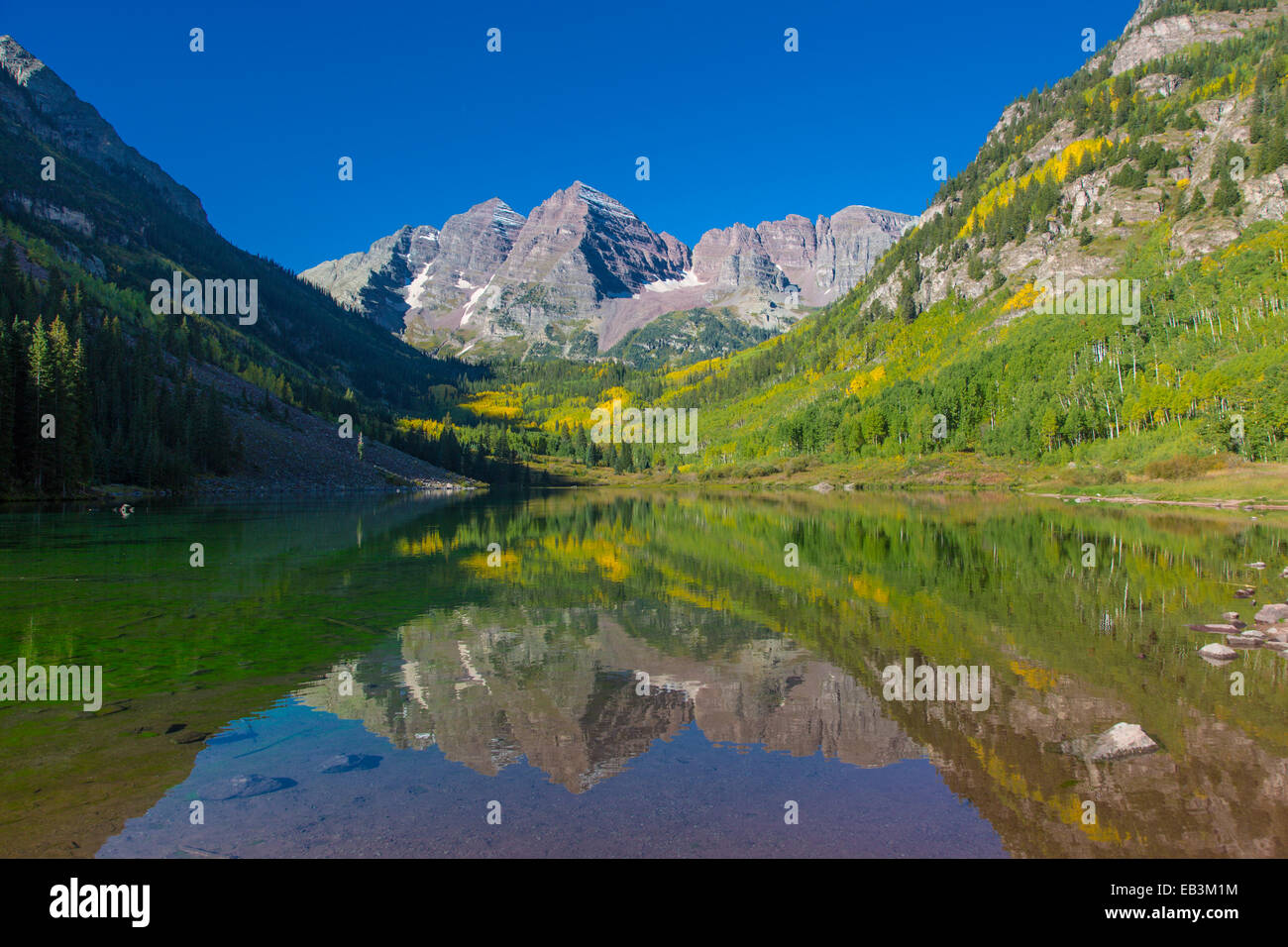 Maroon Bells en dehors de tremble dans la Maroon Bells Snowmass Désert de White River National Forest, Montagnes Rocheuses , Colorado Banque D'Images