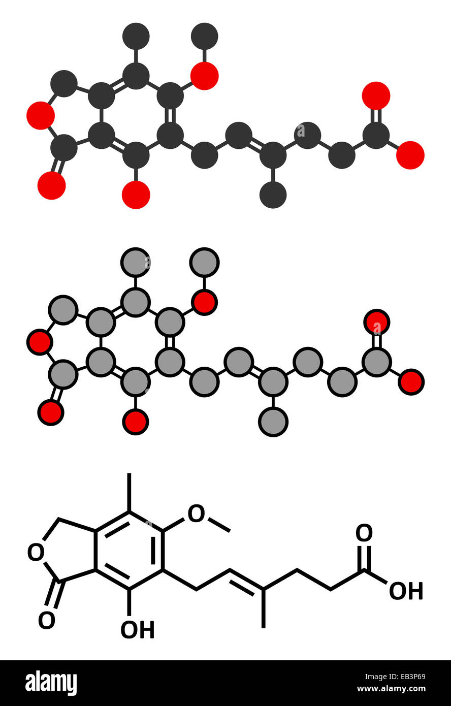 L'acide mycophénolique (Mycophenolate) immunosuppresseur molécule. Utilisé pour prévenir le rejet de greffe et dans le traitement de l'auto Banque D'Images