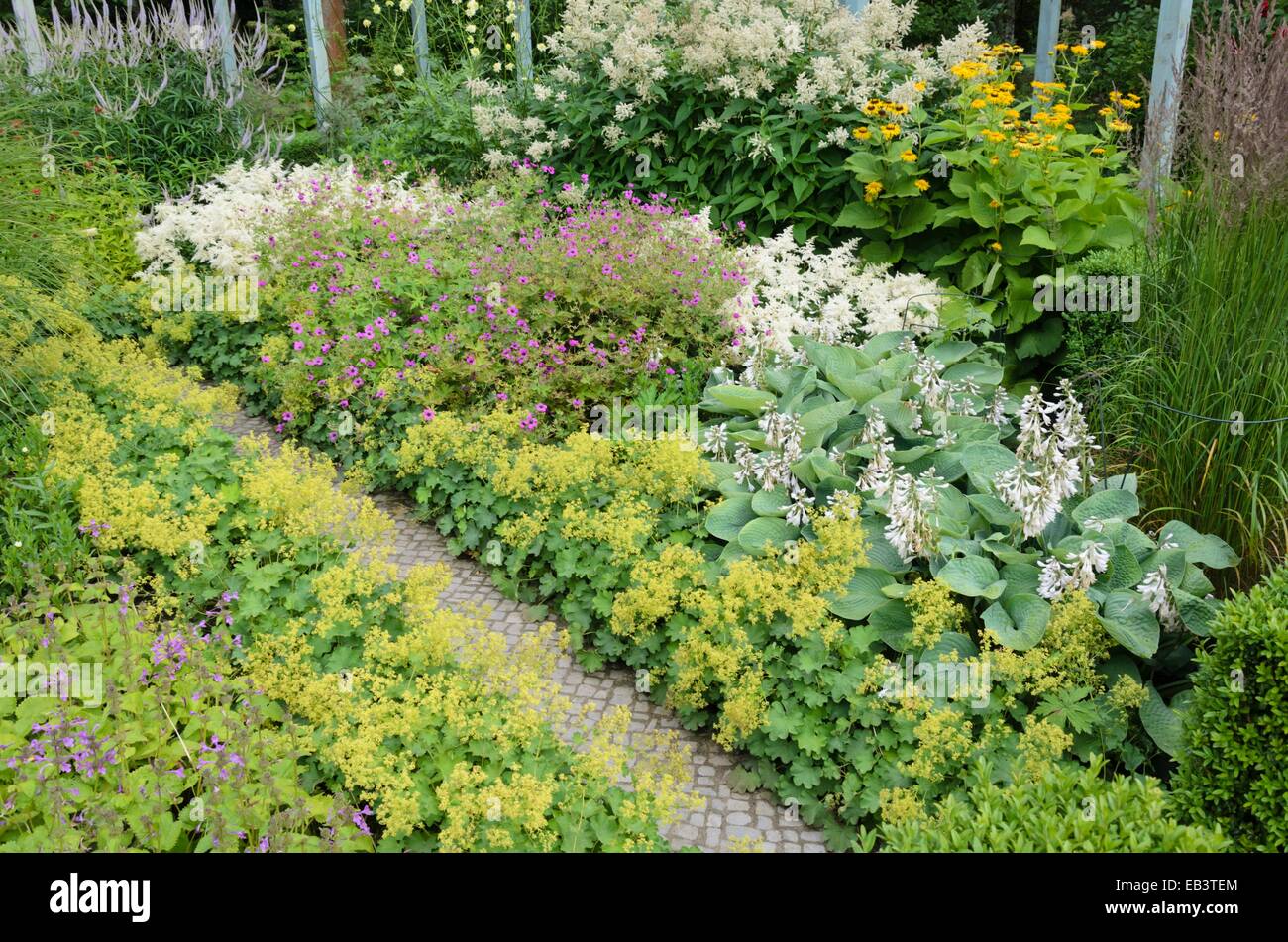 Les manteaux de femme (alchemilla), cranesbills (géranium), astilbe astilbes (plantain) et nénuphars (Hosta) Banque D'Images