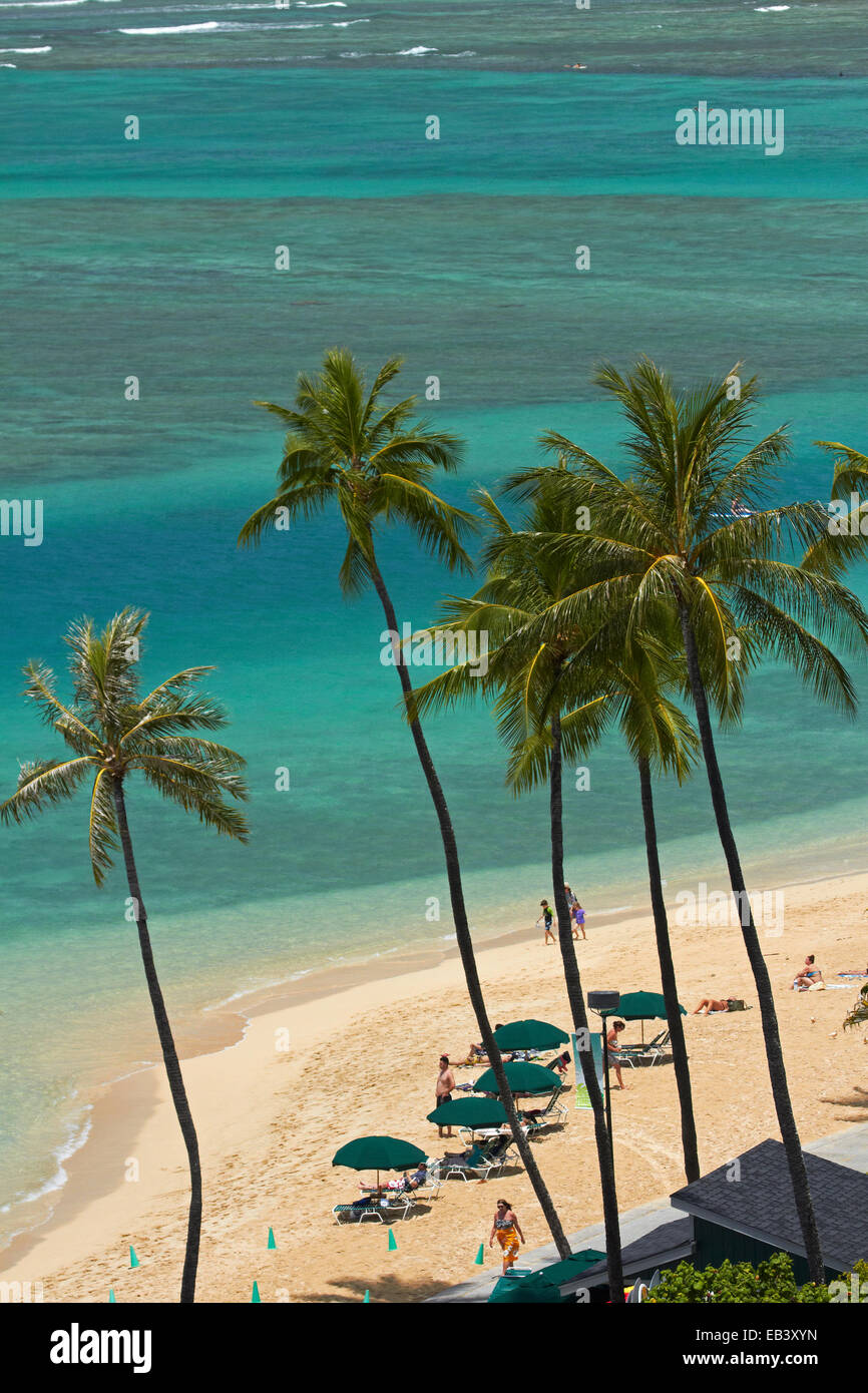 La plage de Fort DeRussy et palmiers, Waikiki, Honolulu, Oahu, Hawaii, USA Banque D'Images