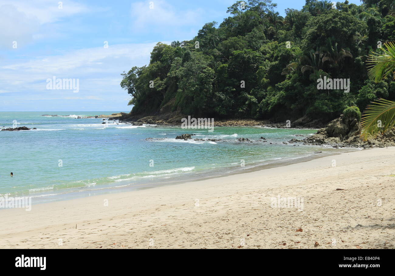 Le sable blanc de la plage tropicale sur l'océan Pacifique, entouré par la jungle, dans la région de Parc National Manuel Antonio, Costa Rica. Banque D'Images
