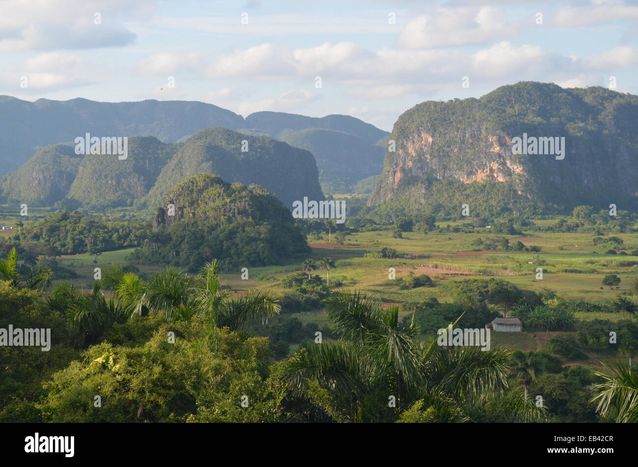 Le karst calcaire paysage de montagne de la région de Vinales Cuba Banque D'Images