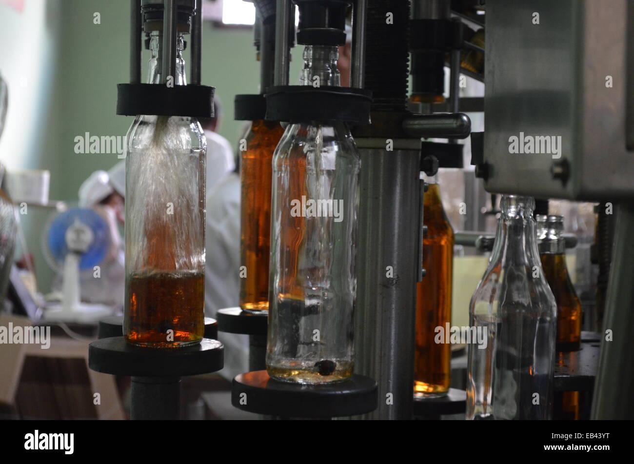 Une usine de mise en bouteilles de rhum dans la région de Pinar del Rio de Cuba Banque D'Images