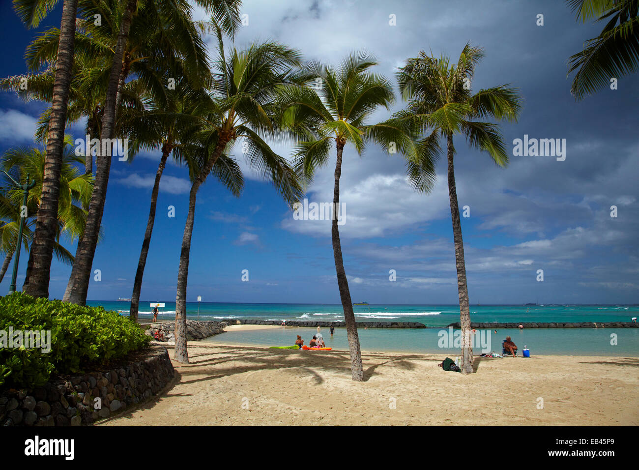 La plage de Waikiki et de palmiers, Waikiki, Honolulu, Oahu, Hawaii, USA Banque D'Images