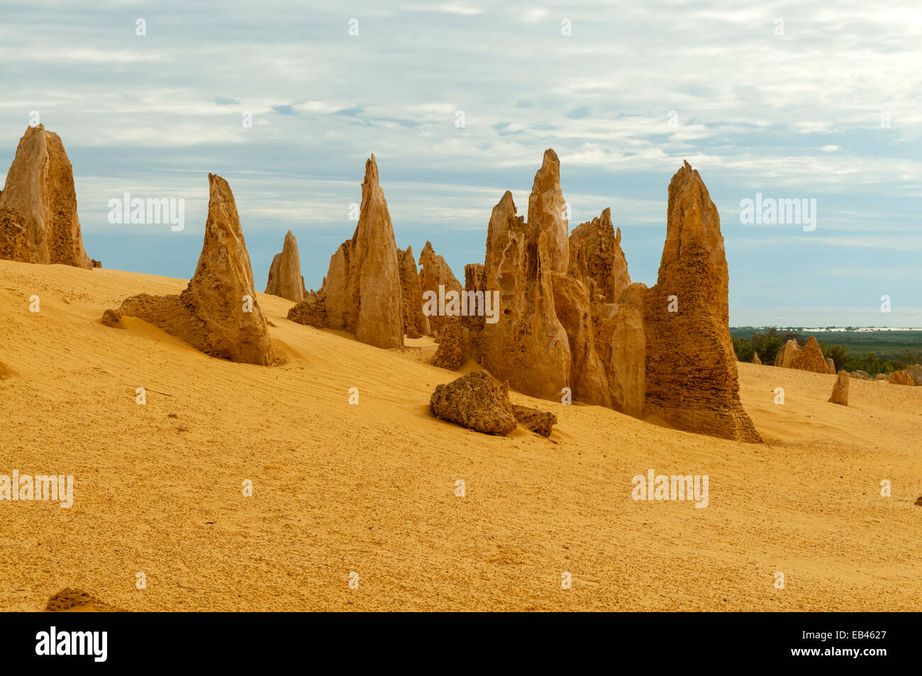 Les Pinnacles, NP Nambung, WA, Australie Banque D'Images