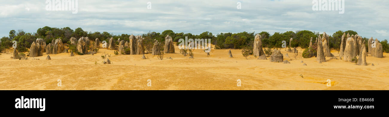 Les Pinnacles, Panorama, Nambung NP WA, Australie Banque D'Images