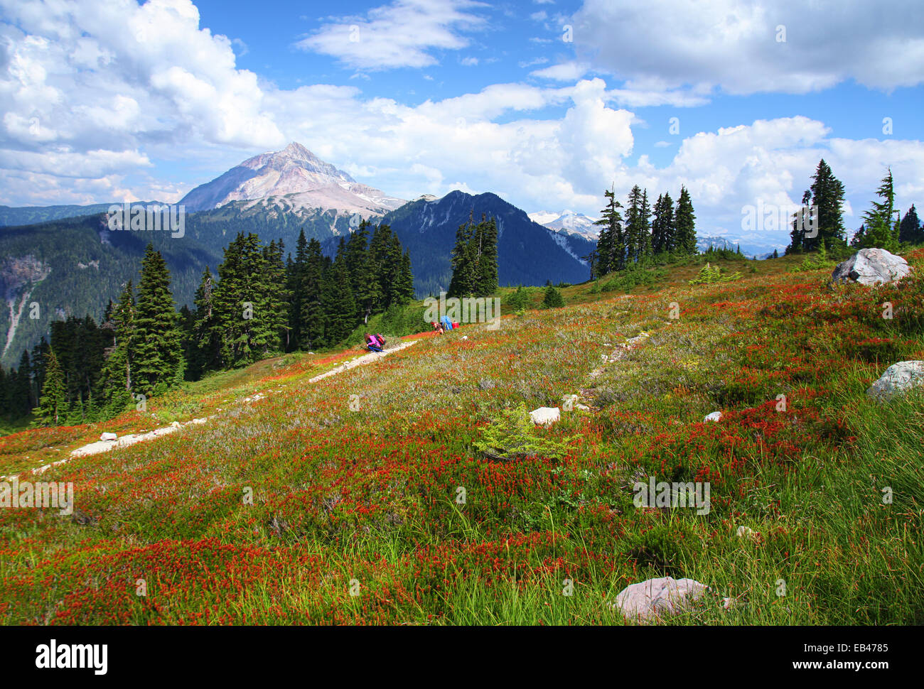 Garibaldi Provincial Park, British Columbia, Canada Banque D'Images