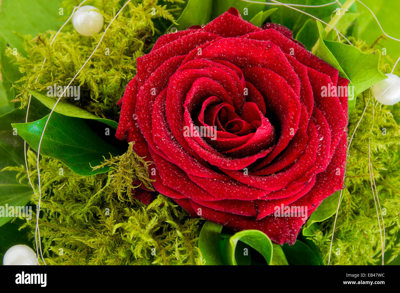 Rose unique avec les verts et déco perles dans un bouquet. Banque D'Images
