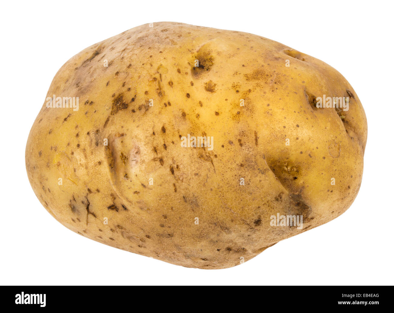 Pomme de terre isolé sur fond blanc avec clipping path Banque D'Images