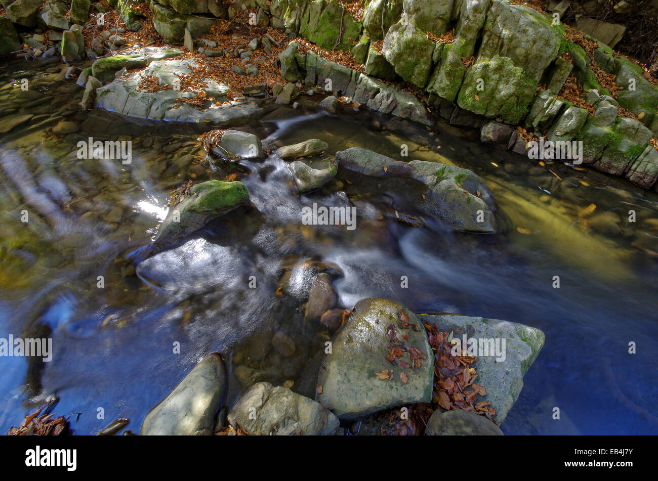 Les feuilles qui tombent. Les feuilles tombées dans roaring mountain stream. Banque D'Images
