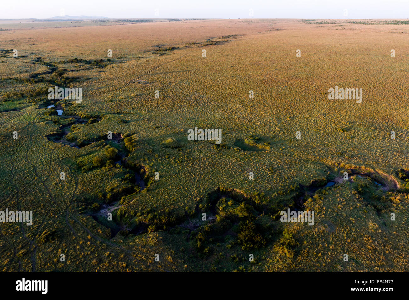 Une vue aérienne de la rivière Mara c'est manière sinueuse dans la vaste plaine de savane herbe courte. Banque D'Images