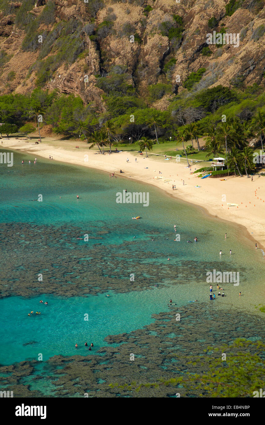 Plage à Hanauma Bay Nature Preserve (en ancien cratère volcanique), Oahu, Hawaii, USA Banque D'Images