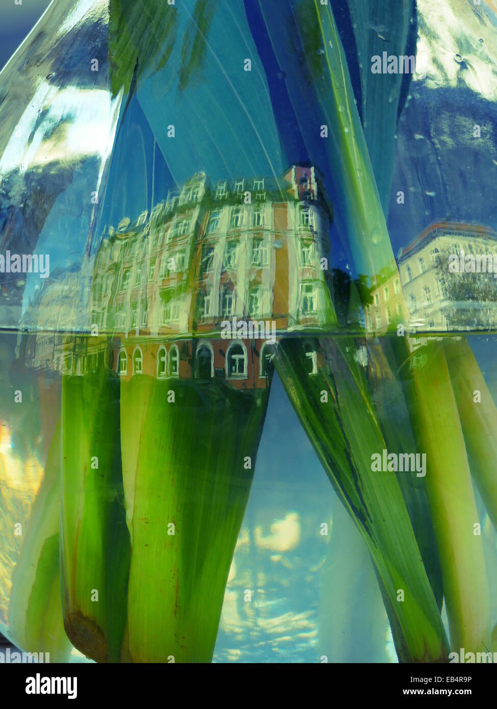 Reflet de bâtiment sur vase en verre Banque D'Images