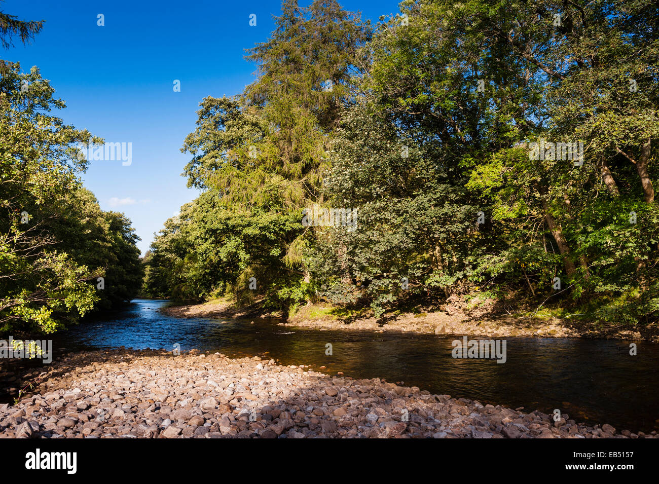 La rivière Swale à Swaledale dans le Yorkshire Dales dans le Yorkshire , Angleterre , Angleterre , Royaume-Uni Banque D'Images