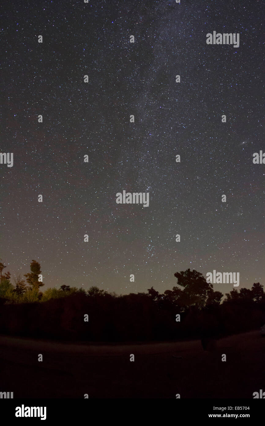 Voie lactée visible dans le ciel nocturne de Cherry Springs State Park dans le nord du Michigan, le premier gold certified s sombre Banque D'Images