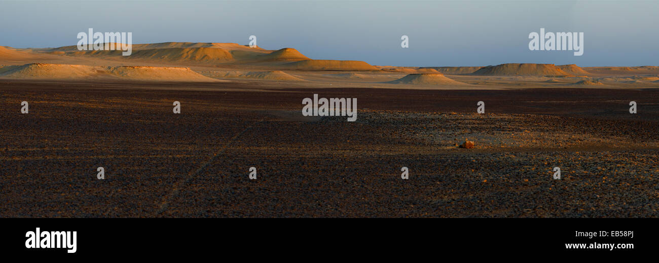 Les dunes du désert du Sahara, l'Egypte Banque D'Images