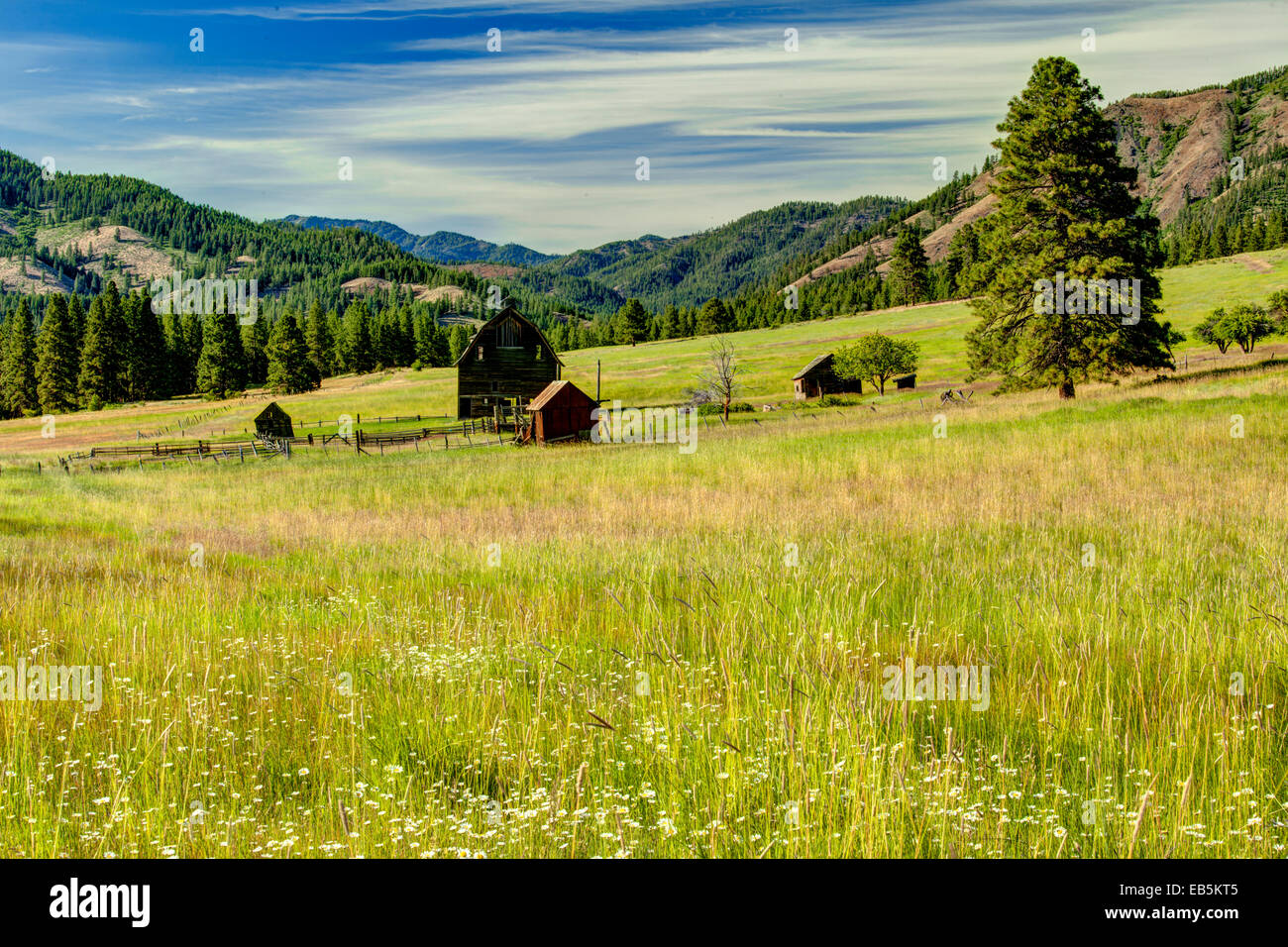 Grange en champ, Ellensberg, Wa Banque D'Images