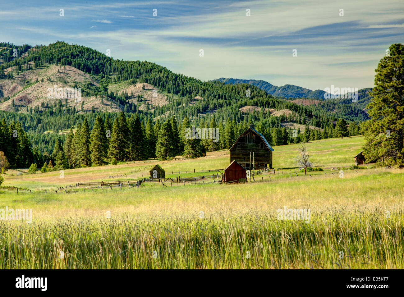 Grange en champ, Ellensberg, Wa Banque D'Images