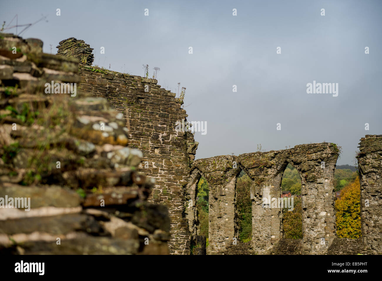 Le mercredi 26 novembre 2014 Photo : Vues de Neath Abbey Re : Vues de Neath, Neath Port Talbot, Pays de Galles, Royaume-Uni Banque D'Images