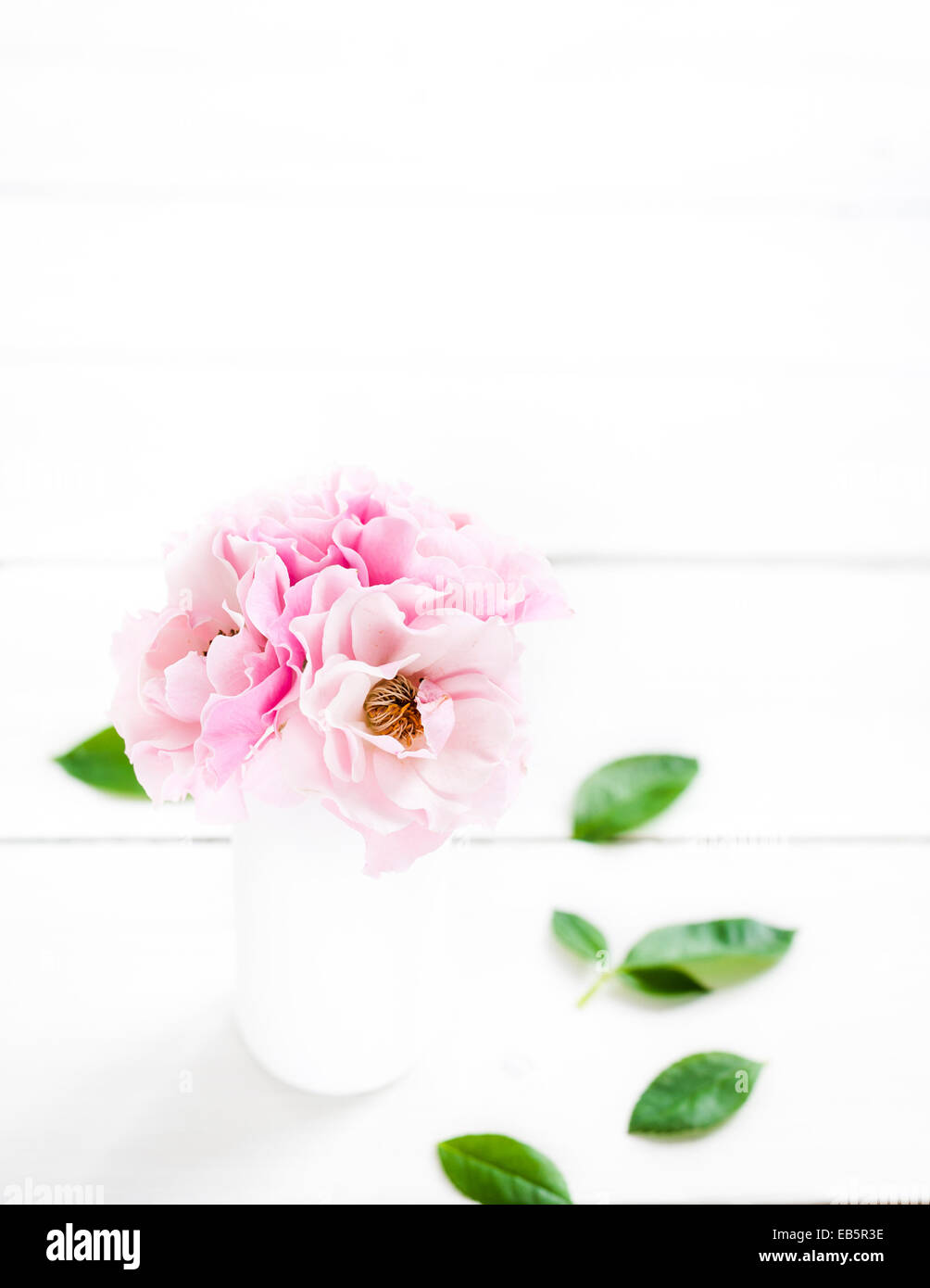 Roses roses dans un vase sur un fond blanc Banque D'Images