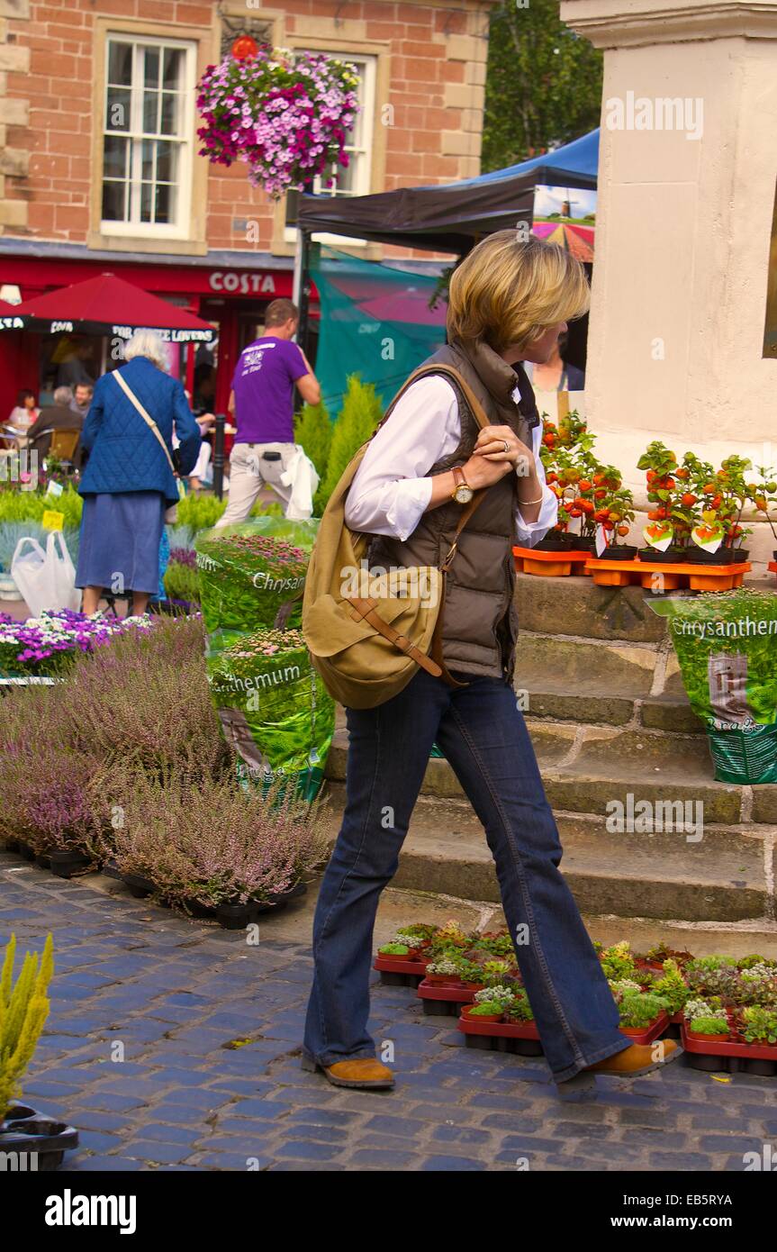 Femme à la recherche de plantes. Carlisle marché continental, le centre-ville de Carlisle, Carlisle, Cumbria, England, UK. Banque D'Images