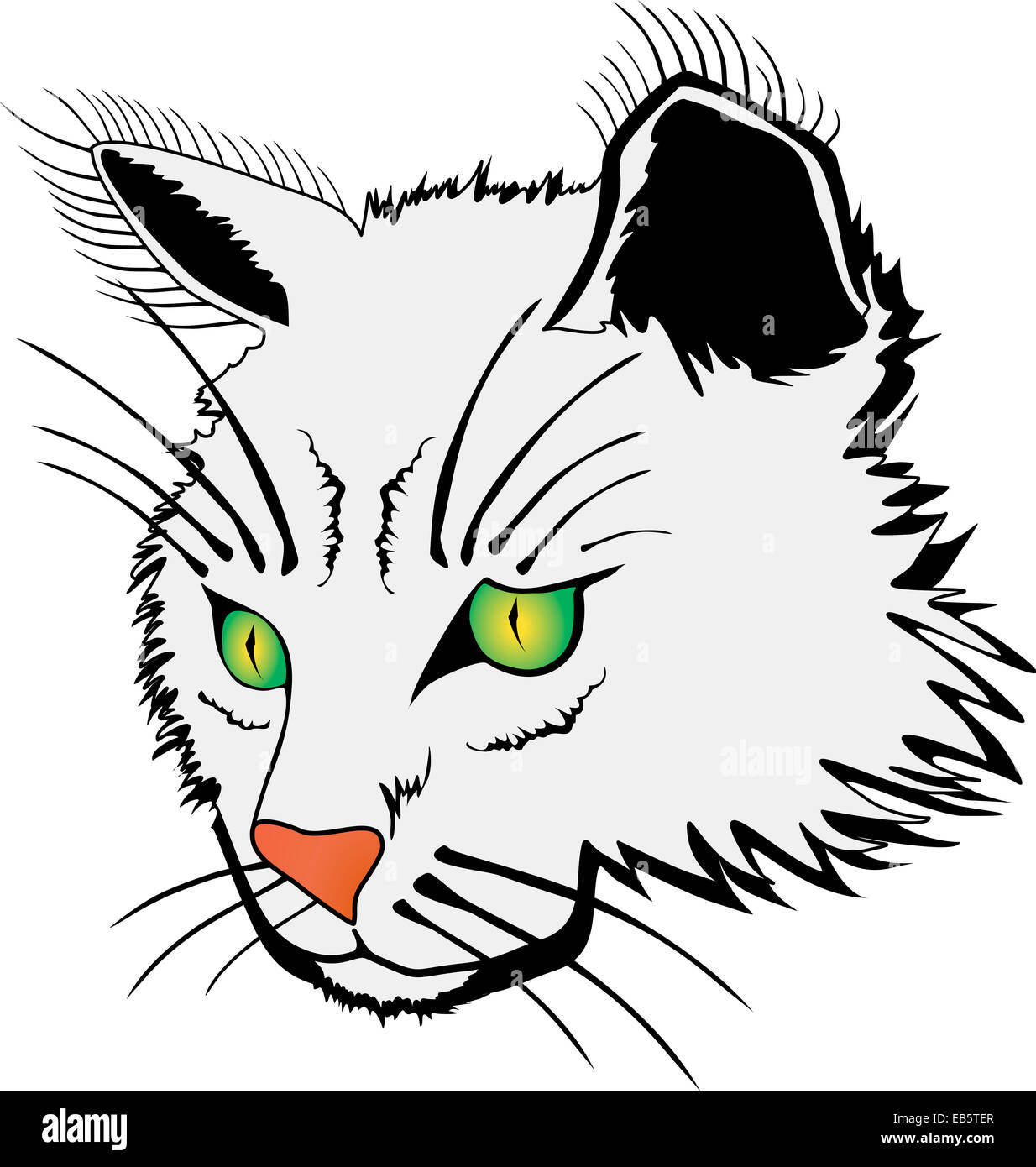 Visage de chat Banque D'Images