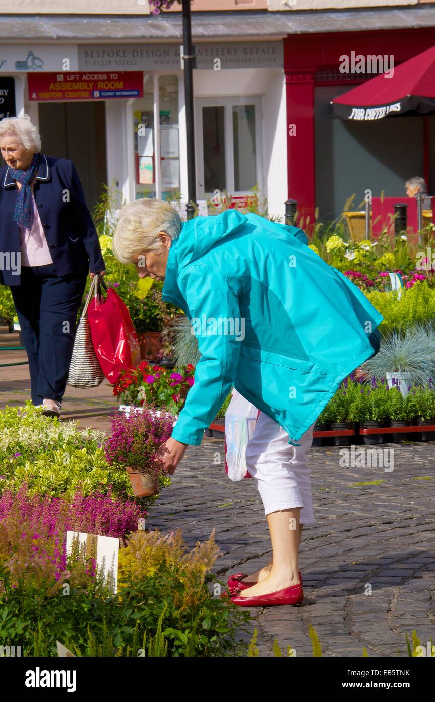 Vieille Femme à la recherche d'une usine. Carlisle Marché Continental Centre-ville de Carlisle Carlisle Cumbria England UK Banque D'Images