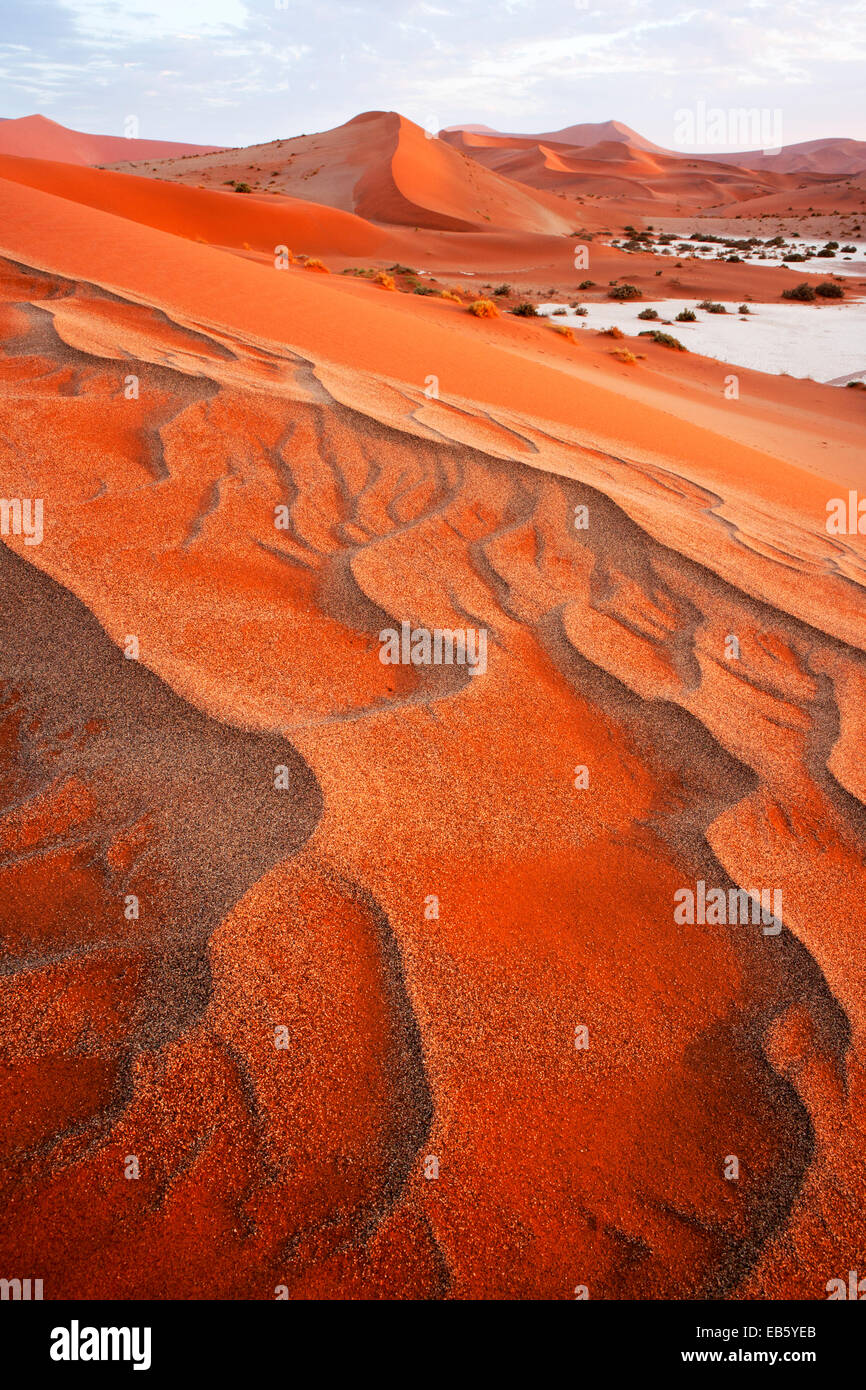 Les patrons des dunes de sable - Sossusvlei - Parc national du Namib-Naukluft National Park, Namibie, Afrique Banque D'Images