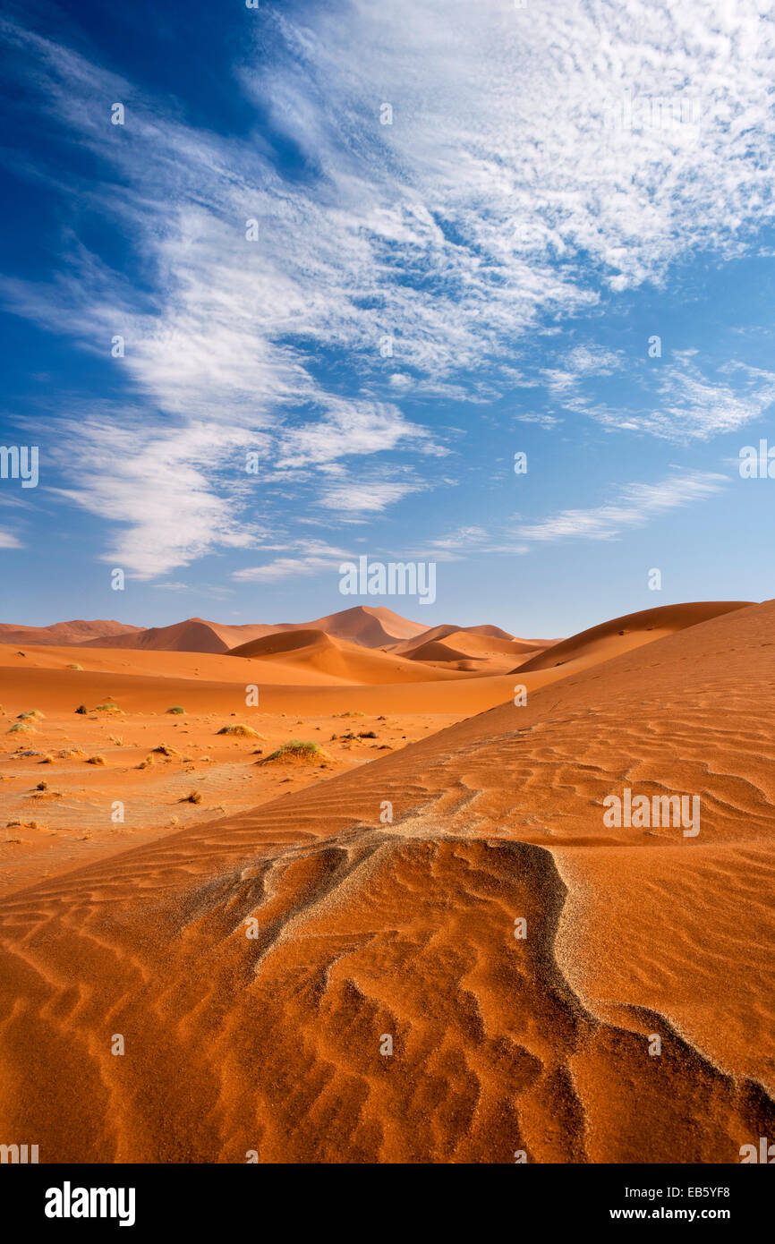 Les patrons des dunes de sable - Sossusvlei - Parc national du Namib-Naukluft National Park, Namibie, Afrique Banque D'Images