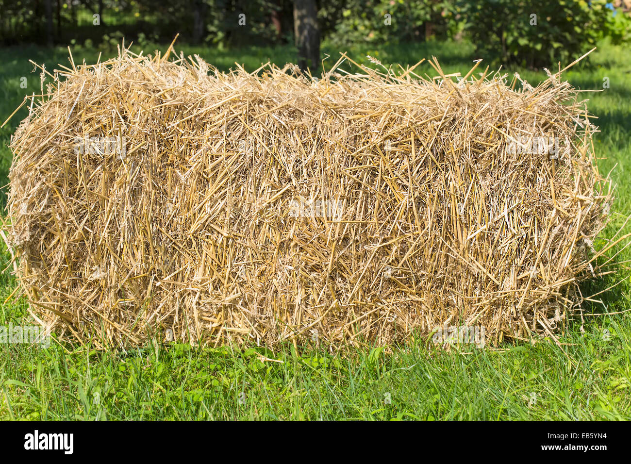 La botte de paille sur fond d'herbe verte Banque D'Images