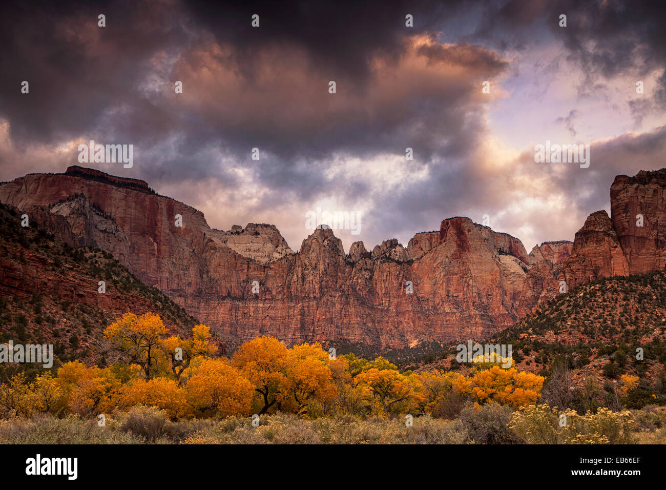Matin d'automne dans les tours de la Vierge dans l'Utah Zion National Park Banque D'Images