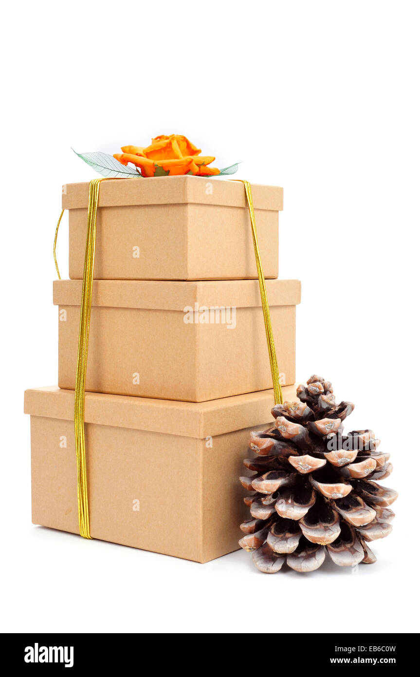 Un cône de pin et quelques boîtes cadeau attaché avec du raphia naturel de diverses couleurs et surmonté d'une fleur sur fond blanc Banque D'Images