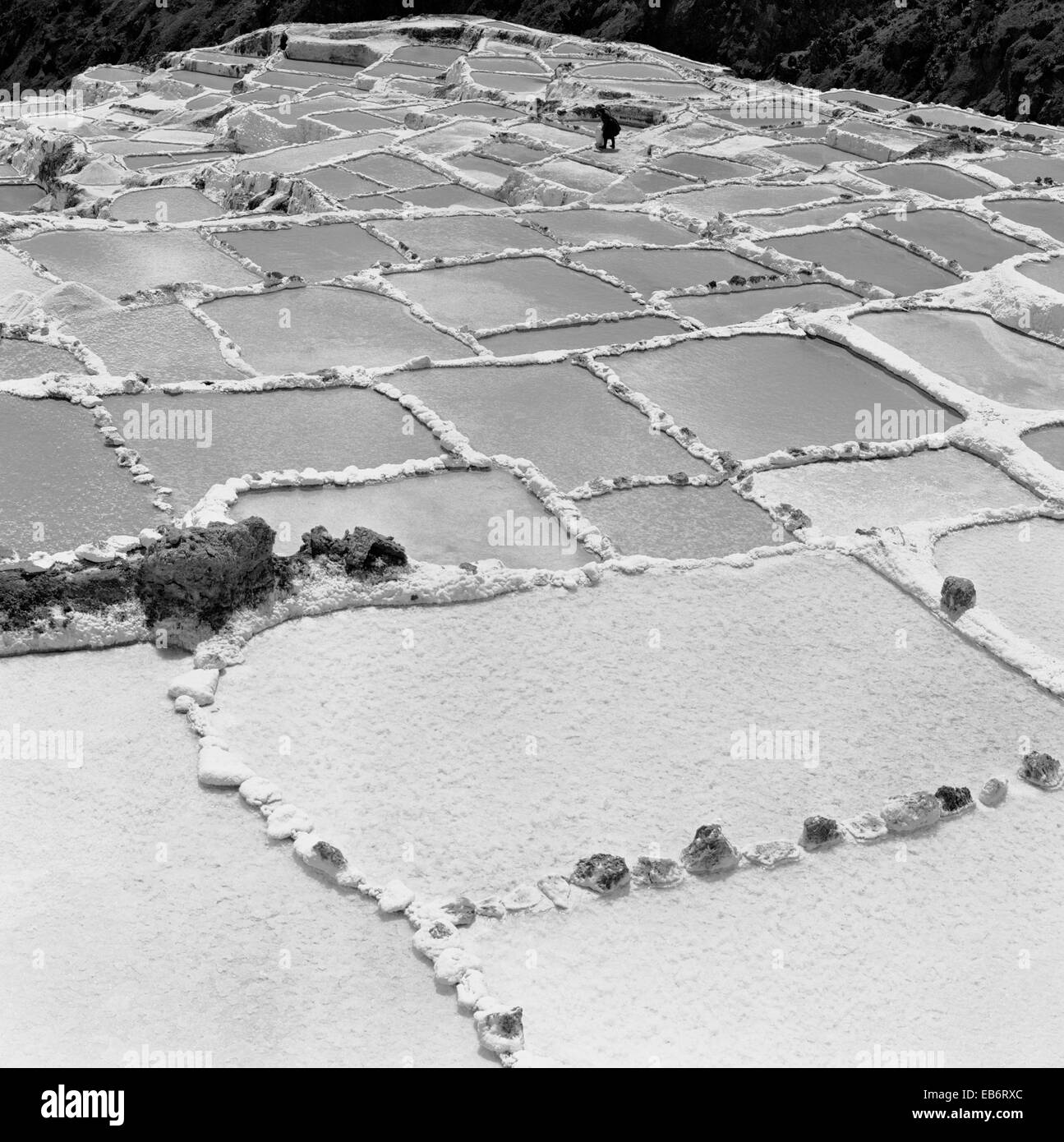 Pérou, Région de Cuzco, la Vallée Sacrée, Maras, Salinas, les étangs d'eau salée avec terrasse Banque D'Images