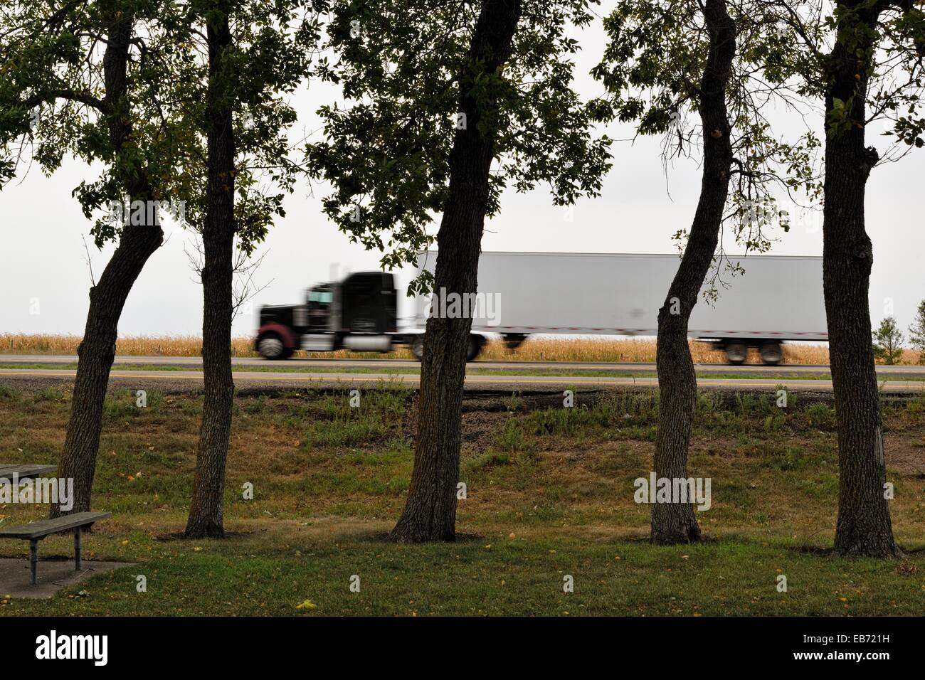 Chêne arbre dans une aire de repos avec autre véhicule sur l'autoroute I 94 Oriska Aire de repos près de Valley City Dakota du Nord USA. Banque D'Images