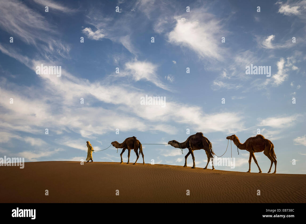 DUNES DE SABLE DU DÉSERT DU SAHARA ERG CHIGAGA MAROC Banque D'Images