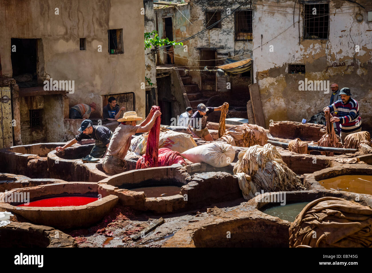 Scène TANNERIE FES FES MAROC SUD Banque D'Images