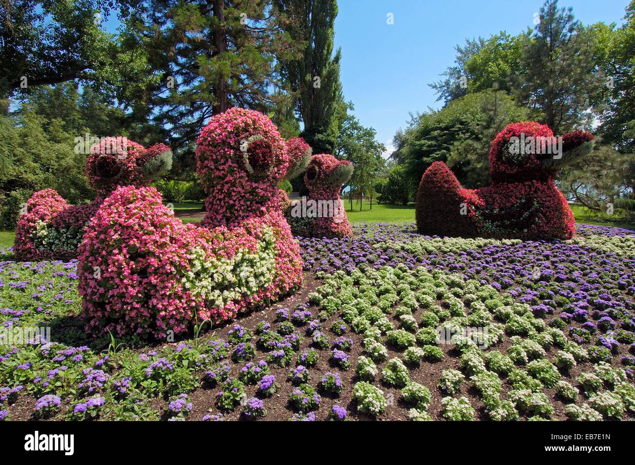 Sculpture de fleurs, l'île Mainau (l'île aux fleurs), le lac de Constance  (Bodensee), Bade-Wurtemberg, Allemagne, Europe Photo Stock - Alamy