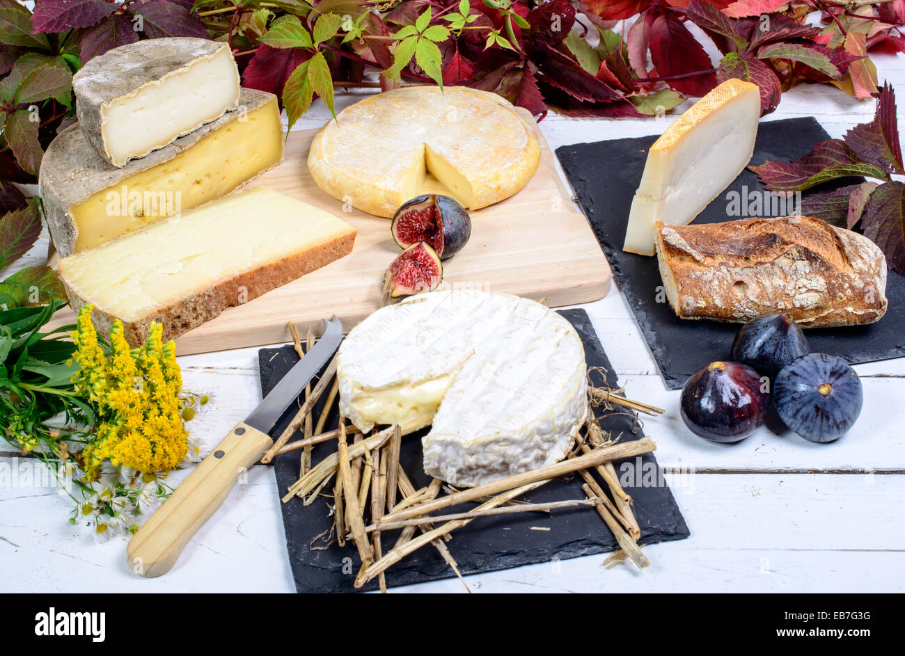 Le Camembert de Normandie avec différents fromages français Banque D'Images